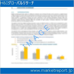 市場と産業調査レポートのイメージ